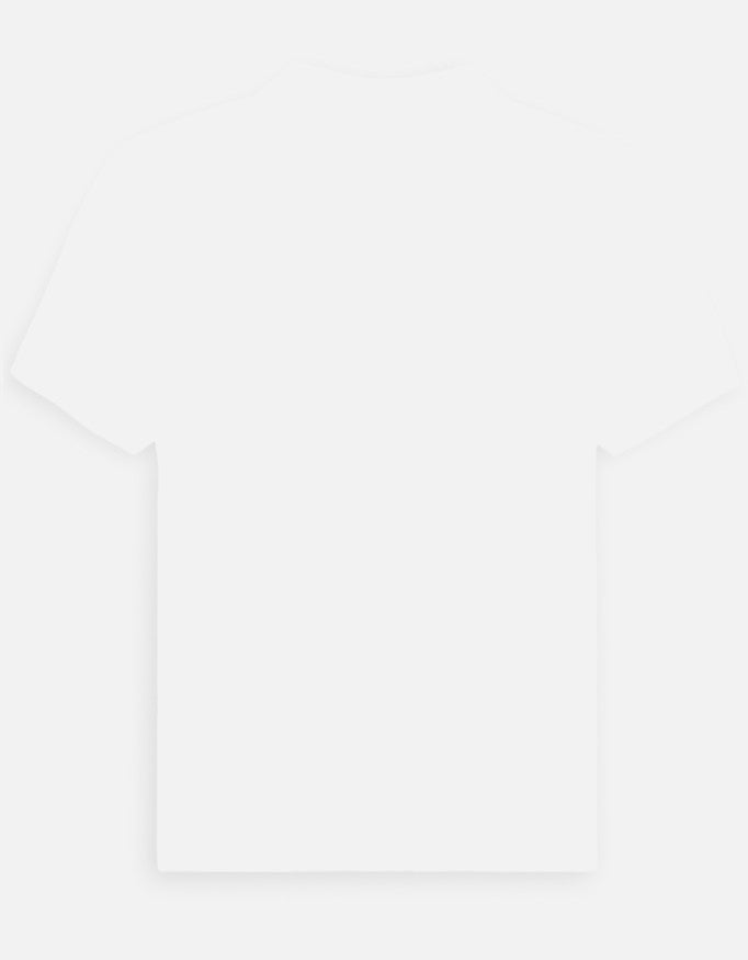 Back_3_c_4.jpg